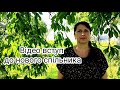 Моє вступне відео до нового СП &quot;Кошик українського в&#39;язання. Сезон 1 - шкарпетки&quot;.🧦