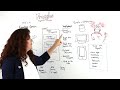 All About Fraggles (Fragment + Handle) - Whiteboard Friday