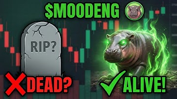 Moo Deng: What Just Happened? 🤯