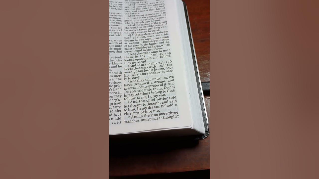 Bible Reading Genesis Chapter 40 Verse 8 10 bible biblereading bible-reading-genesis-chapter-40-verse-8-10-bible-biblereading