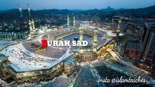 Download Mp3 038 - Surah Sad by Mishary Bin Rashid Alafasy Gudang lagu Download Mp3 038 - Surah Sad by Mishary Bin Rashid Alafasy