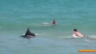 Акула на пляже! epic shark prank...