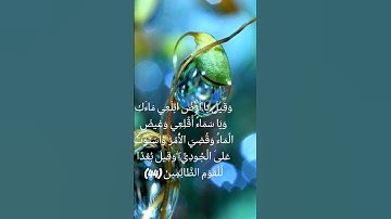 سورة هود آيه ٤٤