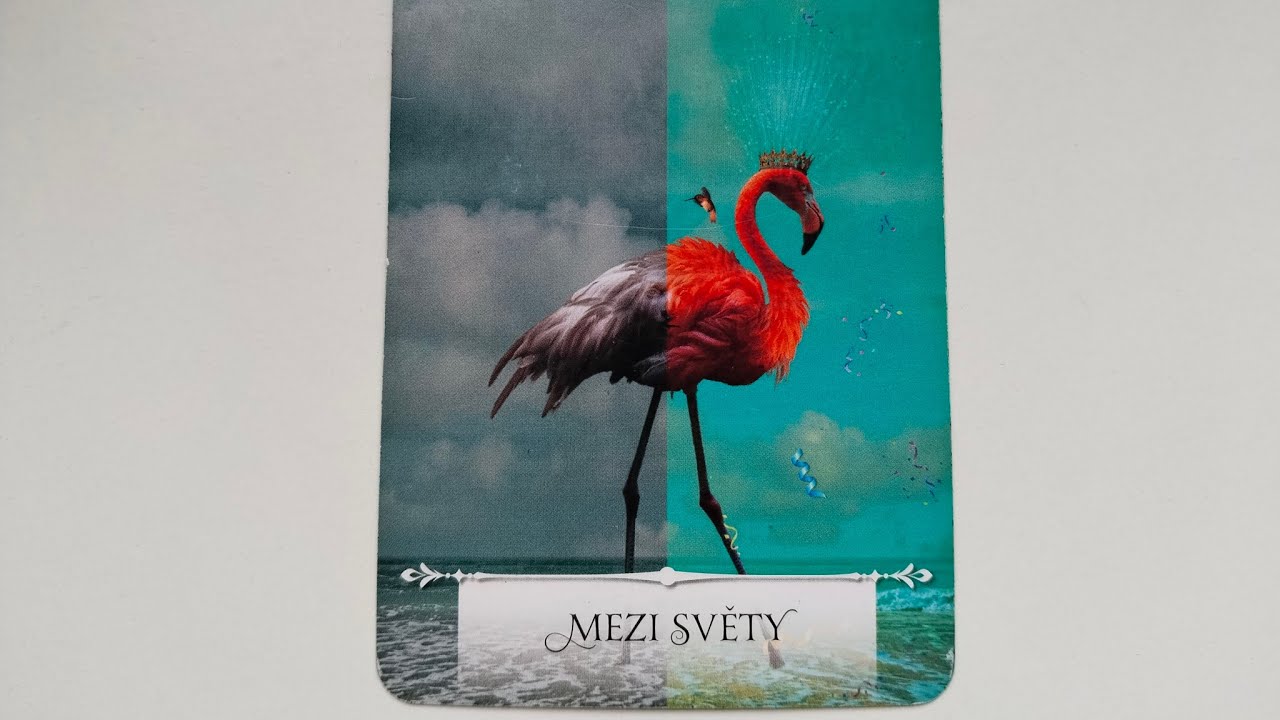 ❤️ V SÍLE MEDVĚDA 🐻‍❄️🐻 ❤️ 💫 v tu chvíli bude připravený na vztah 💫