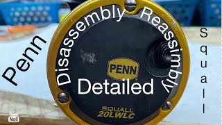 Penn Squall/Detailed Disassembly and Reassembly