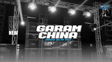 DJ GARAM CHINA | PARTY MENGKANE