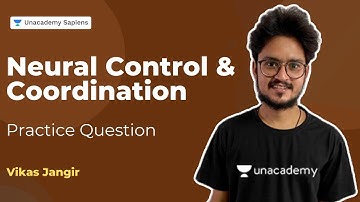 Neural Control and Coordination | Practice Question | Unacademy NEET | Vikas Jangir