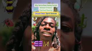 Why You’ve Been Seeing Certain Animals & Insects (Chosen Ones Spirit Animals)