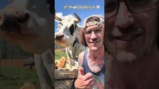 Kalan at The Rylee Ranch: What are the problems with owning a farm! Let’s check in with the animals!