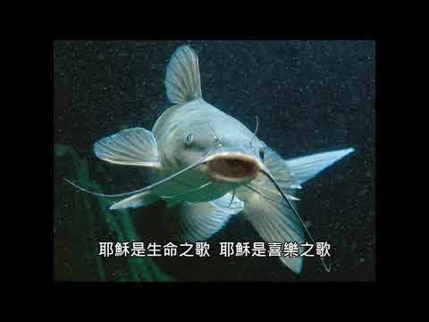 耶穌是歌