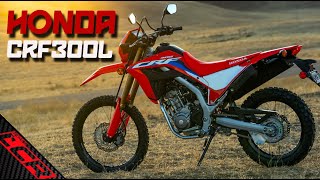 2023 Honda CRF300L | The PERFECT Beginner Off-road Motorcycle