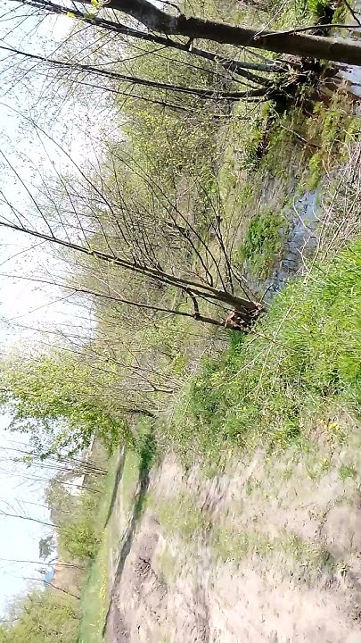 Релакс. Співає пташка - YouTube