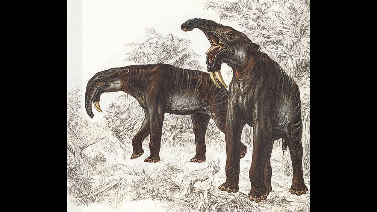 Cetiosaurus oxoniensis. вымершие животные 2017. тим флэк. тасманиский сумрачный волк. вымершие животные 2017.