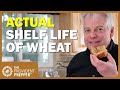Food Storage: How to Store Wheat So It Is Still Delicious 31 Years Later