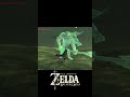 скинул...т#zelda #zeldabotw #botw #games #gaming