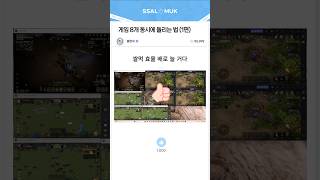 진짜 쌀먹 세팅 실전편! 그대로 따라만 하세요