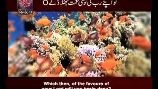 Surah Ar Rehman N 55 Urdu English Translate By Qtv