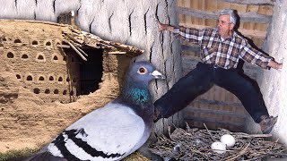 The profession of pigeon keeper for breeding pigeons. A work with centuries of tradition