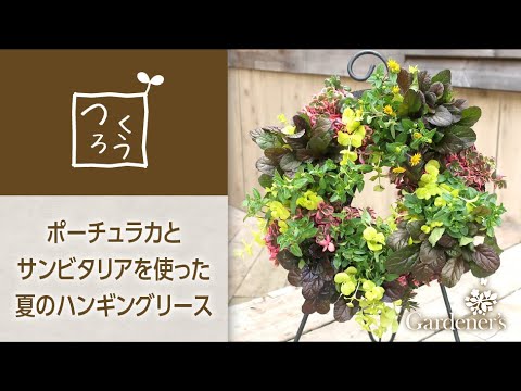 夏の寄せ植え3分レシピ ポーチュラカとサンビタリアを使ったハンギングリース Youtube