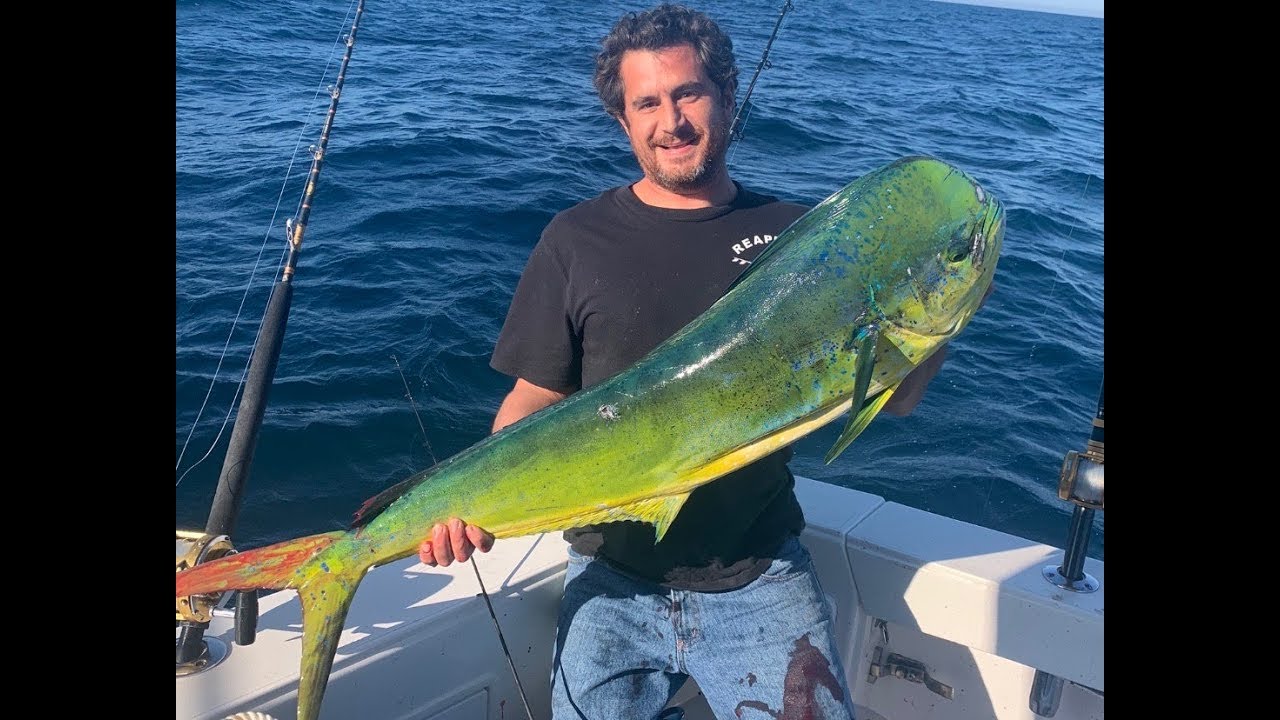 Personal Best NJ Mahi!! Plus swords, marlin, and sharks! - YouTube