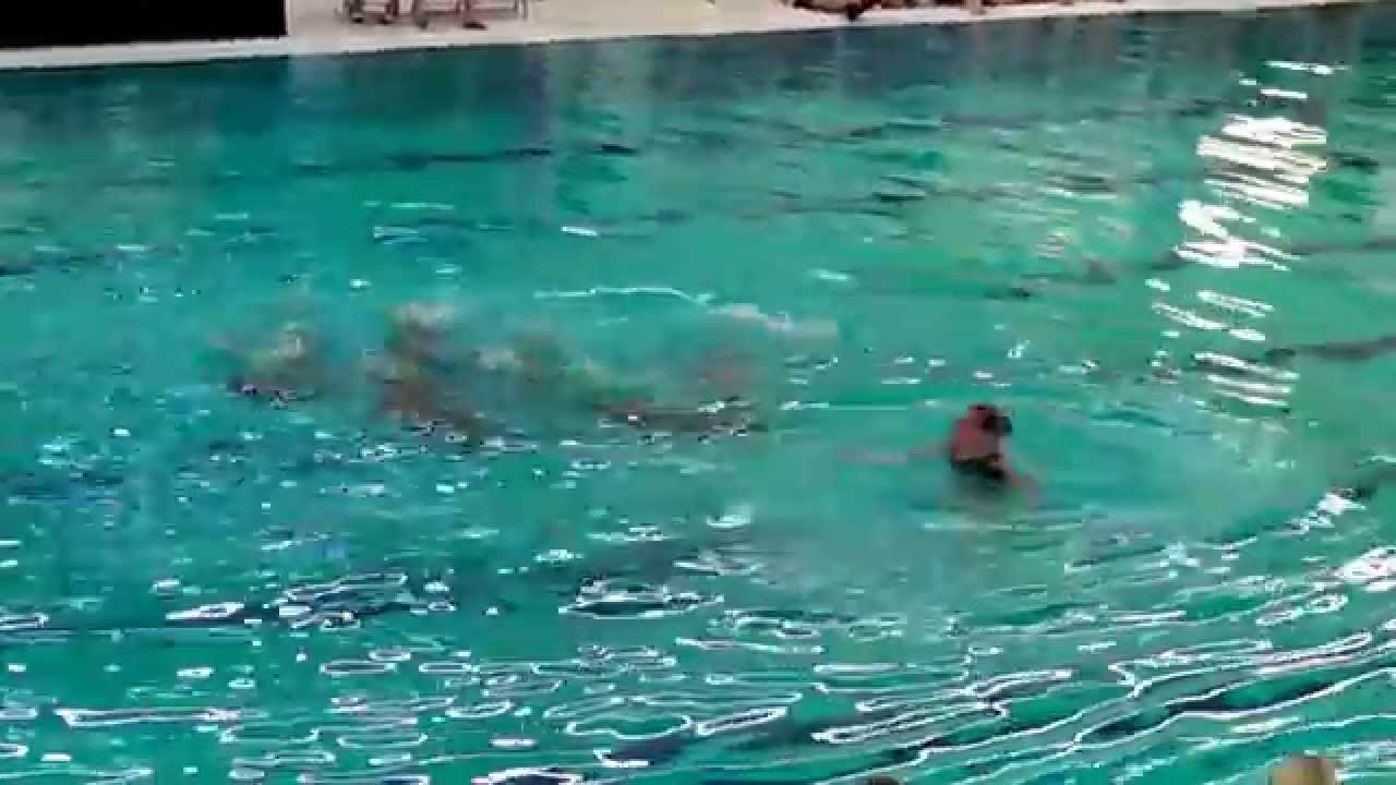 NK Combo 2014 De Dolfijn