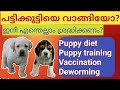 Puppy diet plan|Puppy food|Labrador puppy malayalam|Deworming|Vaccination|