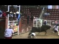 Utah High School Rodeo Bullriding--Icebreaker Invitational 1st Round