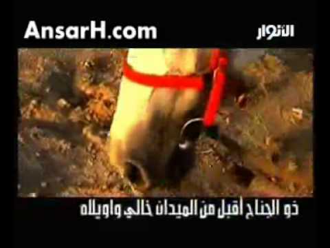 ذو الجناح اقبل