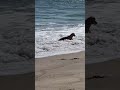 Point Mugu Point Mugu