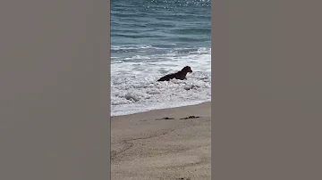 Point Mugu 
