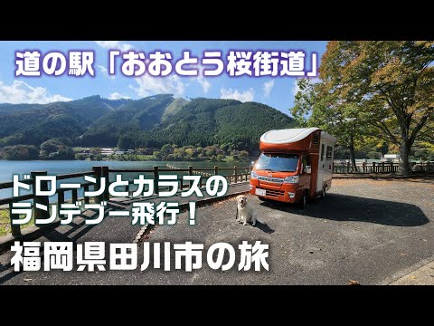 JPSTAR Happy1 キャンピングカーで行く福岡県田川市の旅 道の駅「おおとう桜街道」で車中泊 ドローンとカラスのランデブー飛行