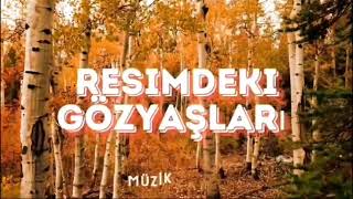 Resimdeki Gözyaşları (Cem Karaca)