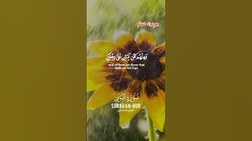 والله خلق كل دابه من ماء فمنهم من يمشي على بطنه منهم من يمشي على رجلين #تلاوة #المصحف #الرحمن #trend
