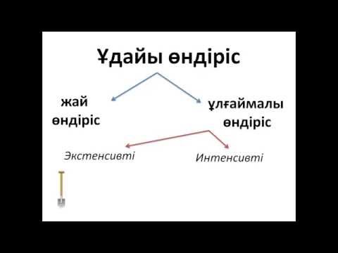 Бейне: Экономикалық өсудің экстенсивті және интенсивті факторлары – айырмашылығы неде