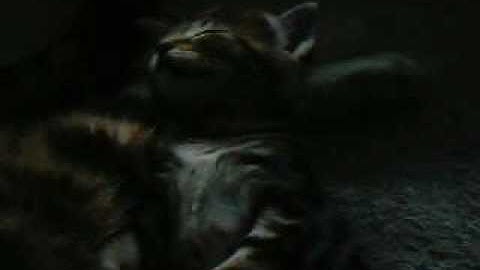 Various OpenCV filtering running on mobile GPU-based mobo #2