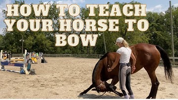 How to Teach Your Horse to Bow (in 5 steps)