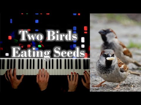 Two Birds Eating Seeds Piano Duet 