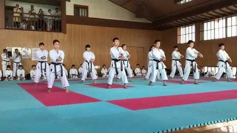 Kata Seipai - Seiwakai Japan