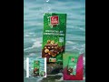 مراحل الوصول النهائي لمشهد متحرك
