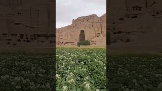 This is Afghanistan Bamyan City شهر بودا? Afghanistan Bamyan shorts