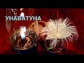 #14 ЛУЧШИЕ РЕСТОРАНЫ УНАВАТУНЫ. ШРИ-ЛАНКА 2020