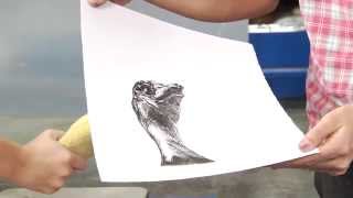 Pressure Ink Introduction To Lithography