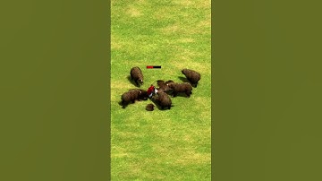 Teutonic Knights Get Surrounded by Bears (AoE2) #Shorts