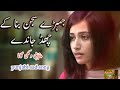 جیڑے سجن بنا کے چھڈ جاندے او لوک حلالی نئں ھوندے جیڑے سجن بنا کے چھڈ جاندے او لوک حلالی نئں ھوندے