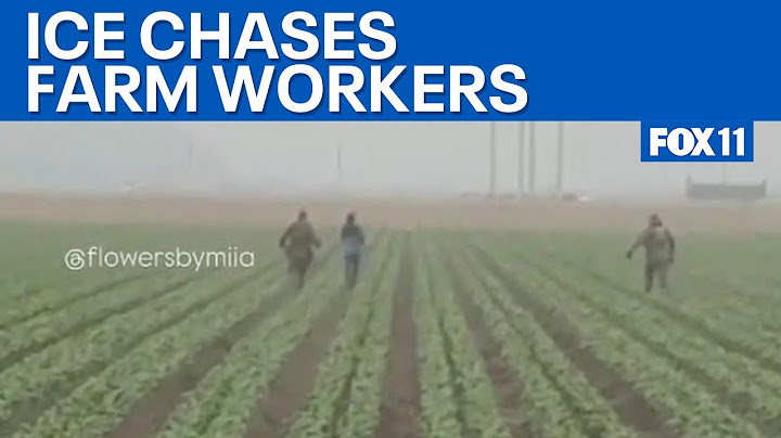 ICE chases farm workers in California, workers express fear  | FOX 11 LA