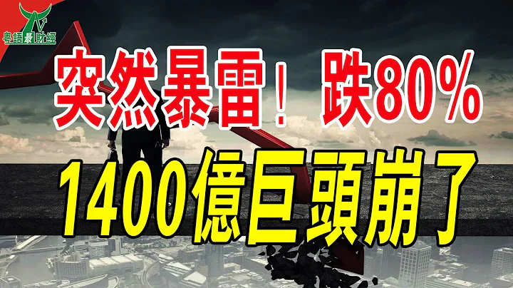 突然暴雷！狂泻80%，1400亿巨头崩了！顶流大佬踩雷！#粤语 #中国经济 #财经 - 天天要闻