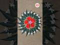 Flower rangoli designs | Rangoli with flowers &amp; leaves #shorts #diy #craft #rangoli #diwali