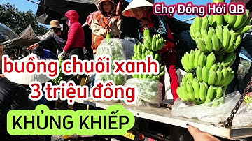 Hêt hồn với giá chuối xanh ngày tết, đông đúc người xếp hàng mua, không đủ bán