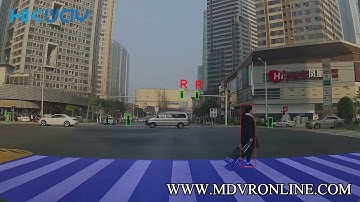 ADAS Testing Video of traffic lights and Zebra crossing and pedestrians