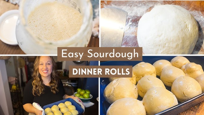 Soft Sourdough Dinner Rolls Recipe - Little Spoon Farm